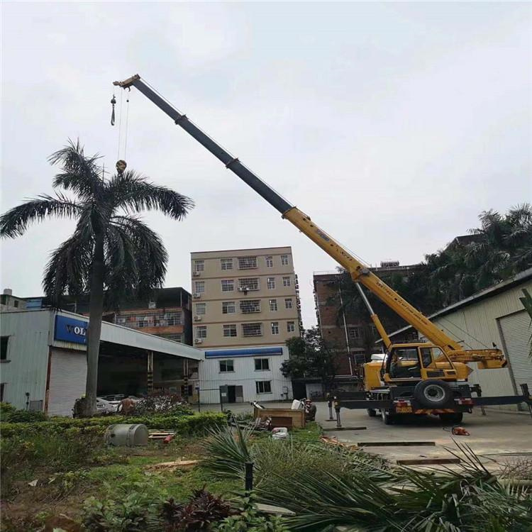 化州树木移栽装卸